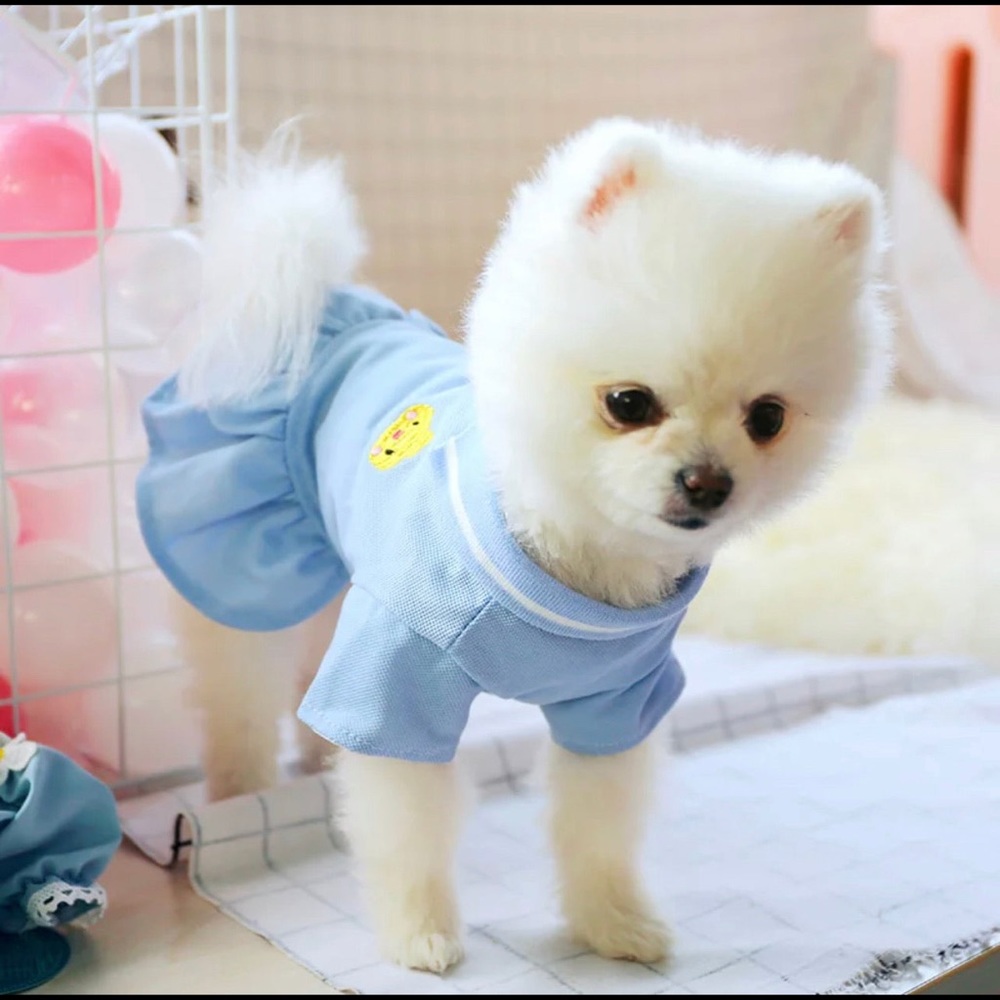 Dog chick dress